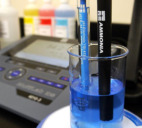 Ammonium | pH of Ammonium | Ammonia vs Ammonium